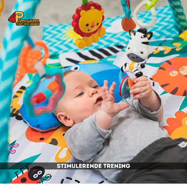 Babygym | Mini sin egen gym